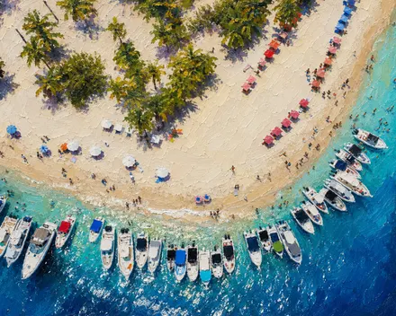 Morrocoy, cuadro terminado